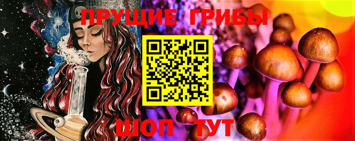 Санкт-Петербург  Псилоцибиновые грибы ЛСД  Вход с VPN 