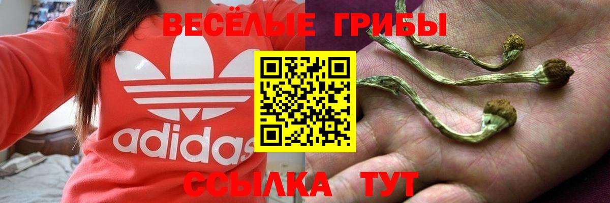 Галлюциногенные грибы GOLDEN TEACHER  Санкт-Петербург 